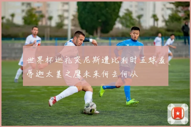 世界杯巡礼突尼斯遭比利时五球羞辱迦太基之鹰未来何去何从